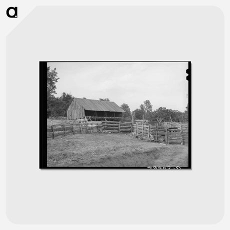 アートポストカード-Pie Town Homestead
 - ラッセル リー Postcard.