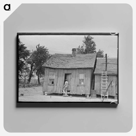 アートパネル-Sharecropper's Cabin, Southeast Missouri
 - ラッセル リー Canvas.