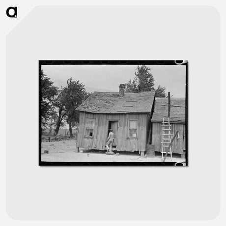 アートポストカード-Sharecropper's Cabin, Southeast Missouri
 - ラッセル リー Postcard.