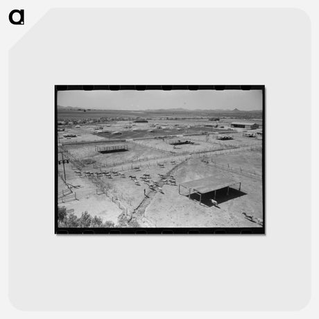 アートポストカード-Casa Grande Valley Farms
 - ラッセル リー Postcard.