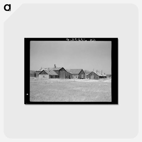 アートポストカード-Abandoned Lumber Camp Building
 - ラッセル リー Postcard.