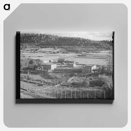 アートパネル-Llano de San Juan Farmstead
 - ラッセル リー Canvas.