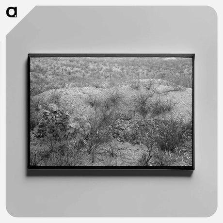アートパネル-Cochise County Prospector
 - ラッセル リー Canvas.