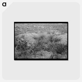 アートポストカード-Cochise County Prospector
 - ラッセル リー Postcard.