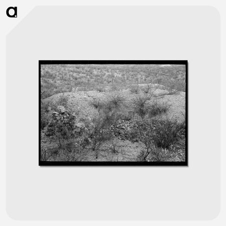 アートポストカード-Cochise County Prospector
 - ラッセル リー Postcard.