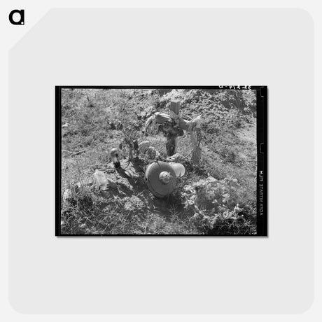 アートポストカード-Mexican Grave
 - ラッセル リー Postcard.