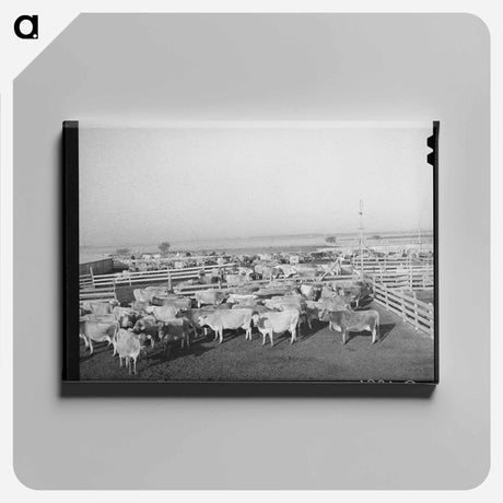 アートパネル-Cattle in Pens
 - ラッセル リー Canvas.