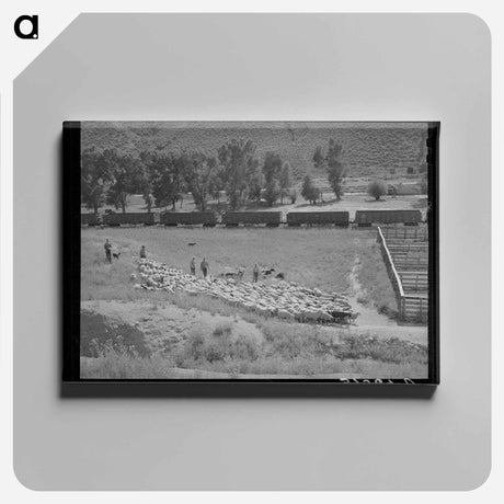 アートパネル-Driving Fat Lambs to Shipping Corrals
 - ラッセル リー Canvas.