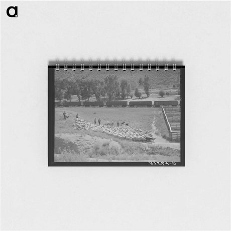 アートメモ帳-Driving Fat Lambs to Shipping Corrals
 - ラッセル リー Memo.
