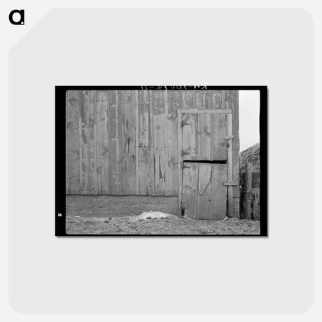 アートポストカード-Neglected Barn, Iowa
 - ラッセル リー Postcard.