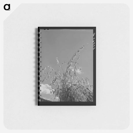 アートメモ帳-Oats, La Plata County
 - ラッセル リー Memo.
