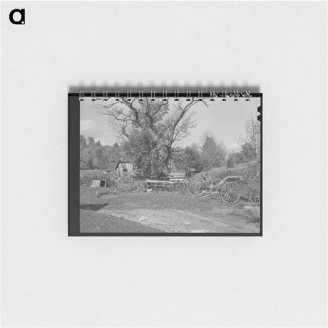 アートメモ帳-Barnyard in Orange County
 - ラッセル リー Memo.