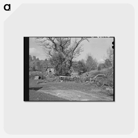 アートポストカード-Barnyard in Orange County
 - ラッセル リー Postcard.
