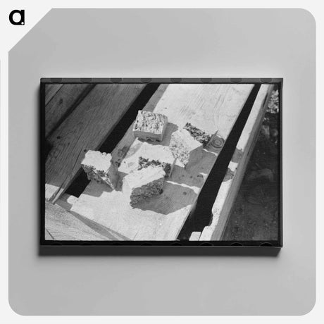 アートパネル-Taos County Soap
 - ラッセル リー Canvas.