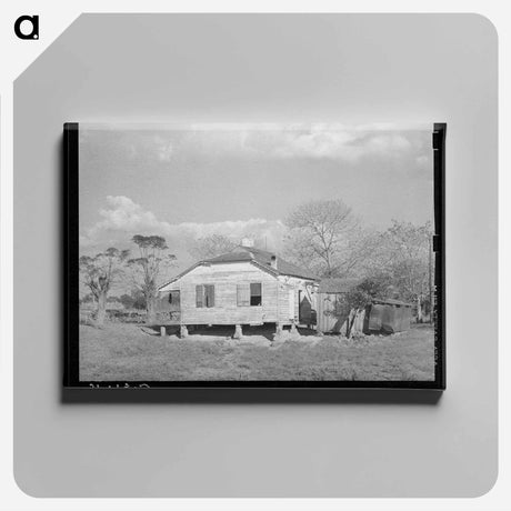 アートパネル-Plantation Home
 - ラッセル リー Canvas.