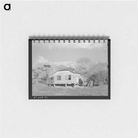 アートメモ帳-Plantation Home
 - ラッセル リー Memo.