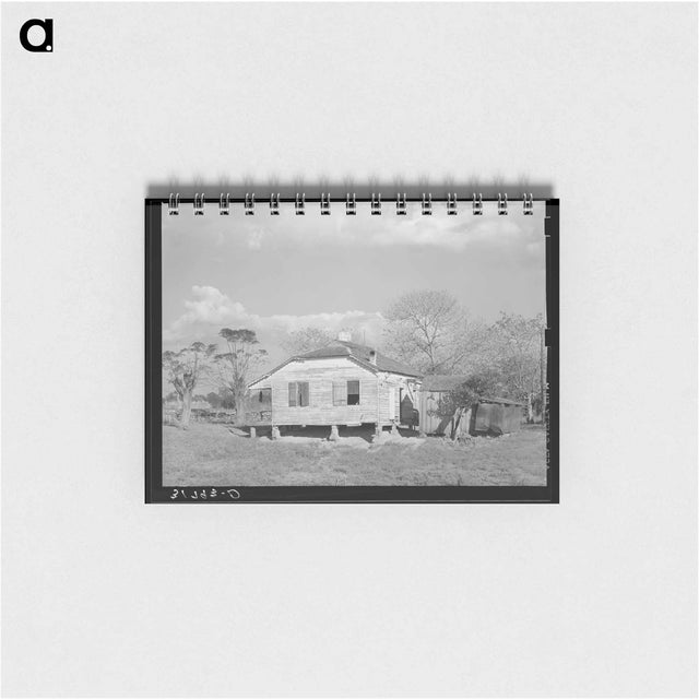 アートメモ帳-Plantation Home
 - ラッセル リー Memo.