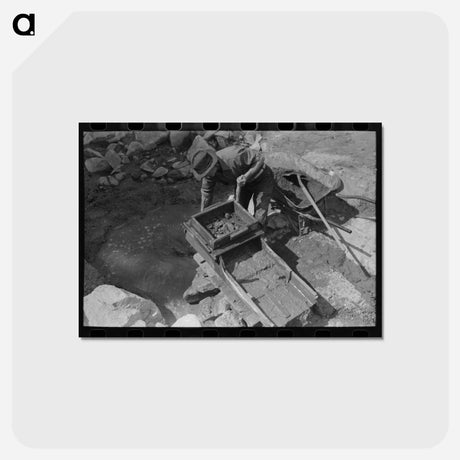 アートポストカード-Gold Prospector at Work
 - ラッセル リー Postcard.