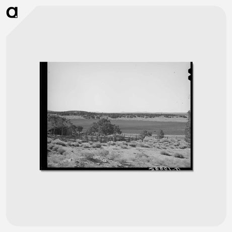 アートポストカード-Pie Town Homestead
 - ラッセル リー Postcard.