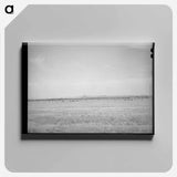 アートパネル-Range Cattle at Casa Grande Valley Farms
 - ラッセル リー Canvas.
