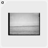 アートポストカード-Range Cattle at Casa Grande Valley Farms
 - ラッセル リー Postcard.