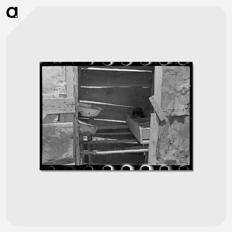アートポストカード-Improvised Henhouse
 - ラッセル リー Postcard.