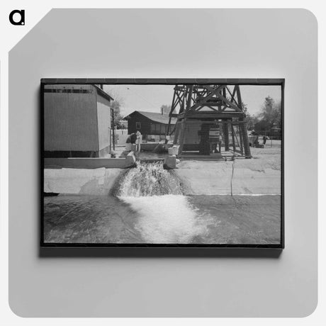 アートパネル-Woman Washing Clothes at Deep Well, Maricopa County, Arizona
 - ラッセル リー Canvas.