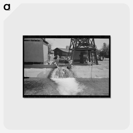 アートポストカード-Woman Washing Clothes at Deep Well, Maricopa County, Arizona
 - ラッセル リー Postcard.