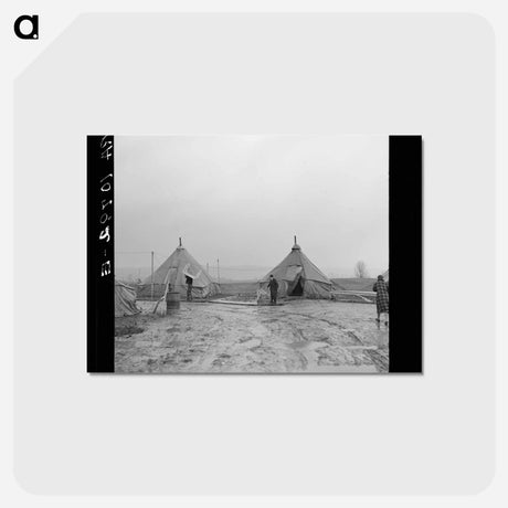 アートポストカード-Tent City, Near Shawneetown, Illinois
 - ラッセル リー Postcard.