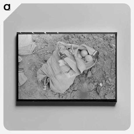 アートパネル-Citrus Picker's Bag, Weslaco, Texas
 - ラッセル リー Canvas.