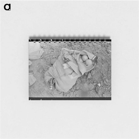 アートメモ帳-Citrus Picker's Bag, Weslaco, Texas
 - ラッセル リー Memo.