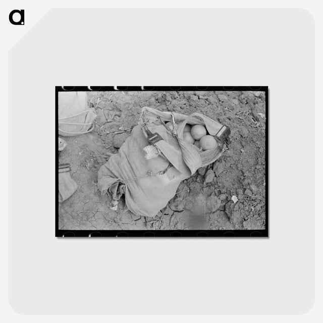 アートポストカード-Citrus Picker's Bag, Weslaco, Texas
 - ラッセル リー Postcard.