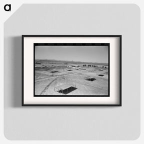 アートポスター-Dairy Cattle Shelters at Casa Grande Valley Farms
 - ラッセル リー Poster.