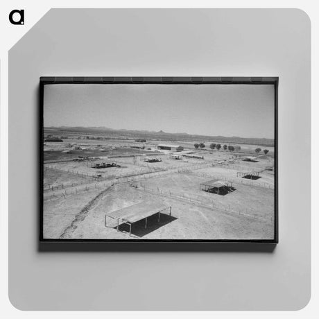 アートパネル-Dairy Cattle Shelters at Casa Grande Valley Farms
 - ラッセル リー Canvas.