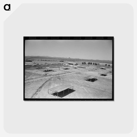 アートポストカード-Dairy Cattle Shelters at Casa Grande Valley Farms
 - ラッセル リー Postcard.