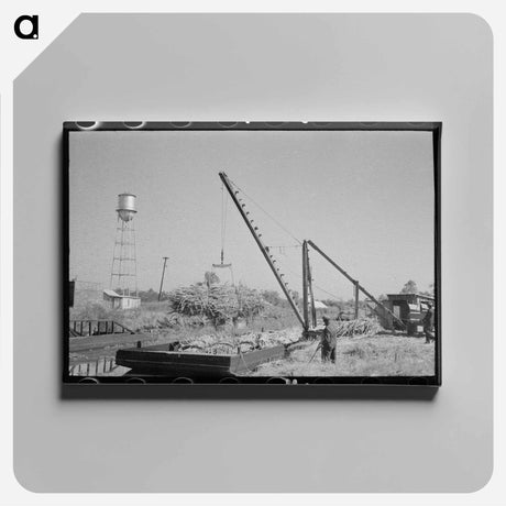 アートパネル-Loading Sugarcane, Louisiana
 - ラッセル リー Canvas.