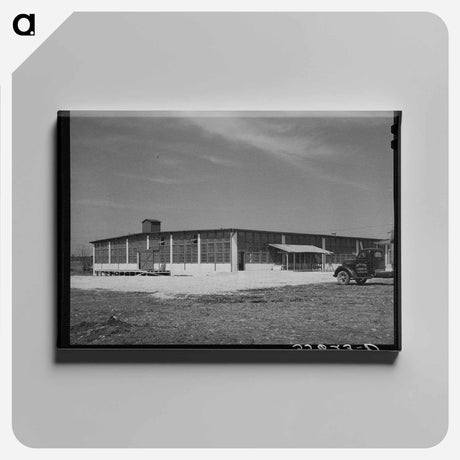 アートパネル-Wool and Mohair Scouring Plant at San Marcos, Texas
 - ラッセル リー Canvas.