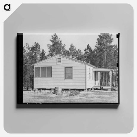 アートパネル-Home of FSA Client, Sabine Farms, Marshall, Texas
 - ラッセル リー Canvas.