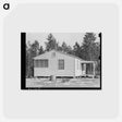 アートポストカード-Home of FSA Client, Sabine Farms, Marshall, Texas
 - ラッセル リー Postcard.