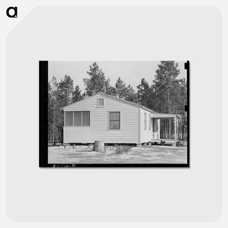 アートポストカード-Home of FSA Client, Sabine Farms, Marshall, Texas
 - ラッセル リー Postcard.