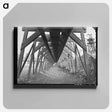 アートパネル-Elevated Railway at Abandoned Copper Mine, Bisbee, Arizona
 - ラッセル リー Canvas.