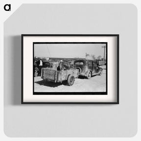 アートポスター-Cattle at Stockyards Auction, San Angelo, Texas
 - ラッセル リー Poster.