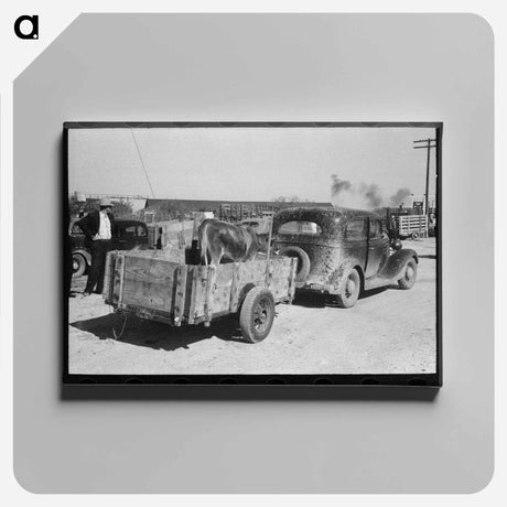 アートパネル-Cattle at Stockyards Auction, San Angelo, Texas
 - ラッセル リー Canvas.