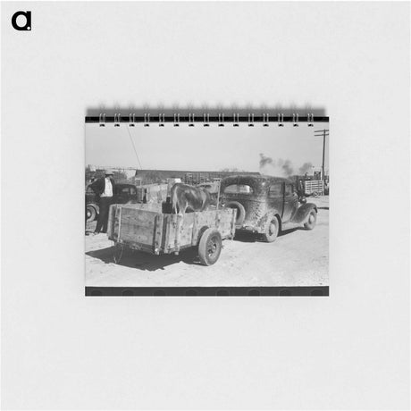 アートメモ帳-Cattle at Stockyards Auction, San Angelo, Texas
 - ラッセル リー Memo.