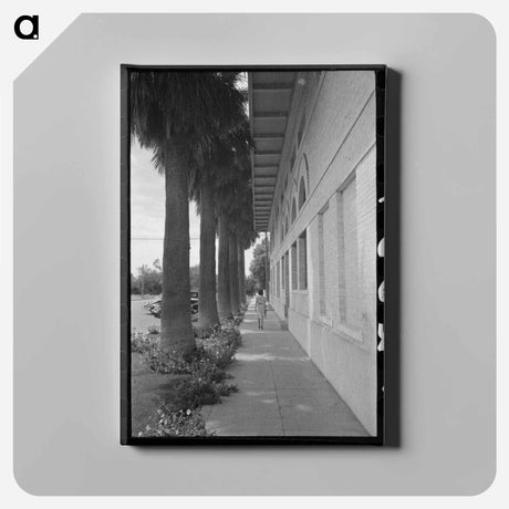 アートパネル-Palm-Lined Sidewalk, Tempe, Arizona
 - ラッセル リー Canvas.