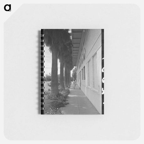 アートメモ帳-Palm-Lined Sidewalk, Tempe, Arizona
 - ラッセル リー Memo.