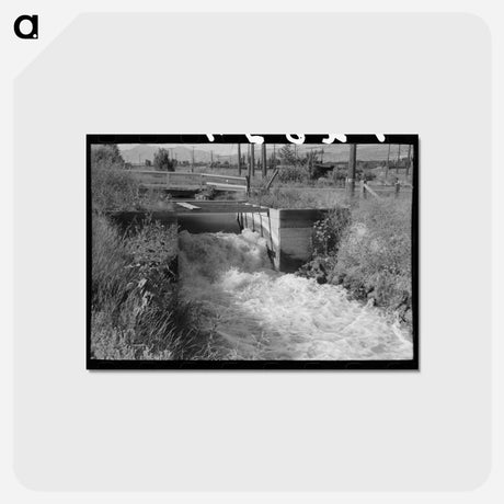 アートポストカード-Irrigation Ditch, Box Elder County, Utah
 - ラッセル リー Postcard.