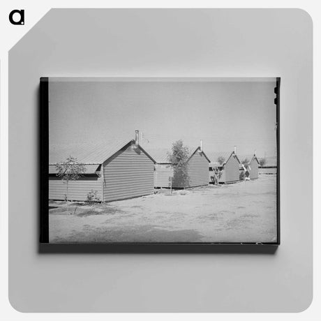 アートパネル-Metal Shelters at Aqua Fria Migratory Labor Camp
 - ラッセル リー Canvas.
