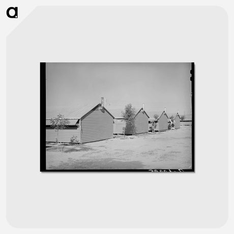 アートポストカード-Metal Shelters at Aqua Fria Migratory Labor Camp
 - ラッセル リー Postcard.