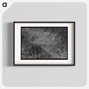 アートポスター-Stubble Field, Eureka Flats, Walla Walla County, Washington
 - ラッセル リー Poster.